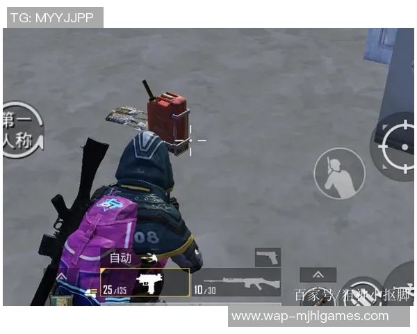 FPX在和平精英中的区域防守策略分析及其成败得失探讨