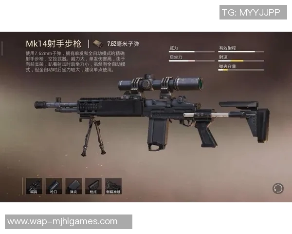 与赵秀英畅谈和平精英的成长历程与未来展望